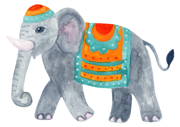 India Elefante
