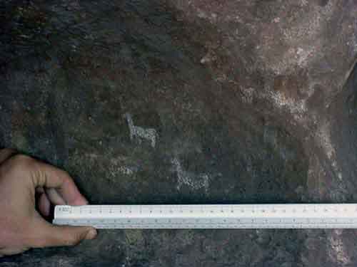 Aspecto de las pinturas rupestres, foto Nahuel Romero.