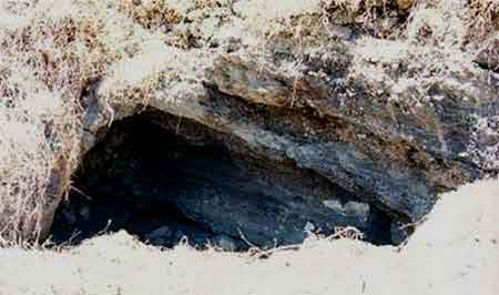 Basaltos lajeados formando la cueva C-108.