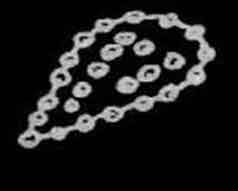 Constelación Tianquiztli