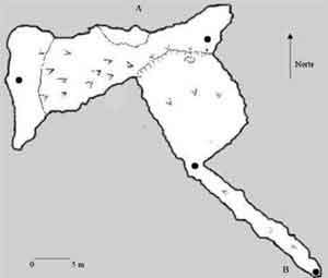A la izquierda planta