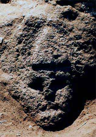 Acaso el rostro de Quetzalcóatl.