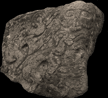 Explorando la Polinesia