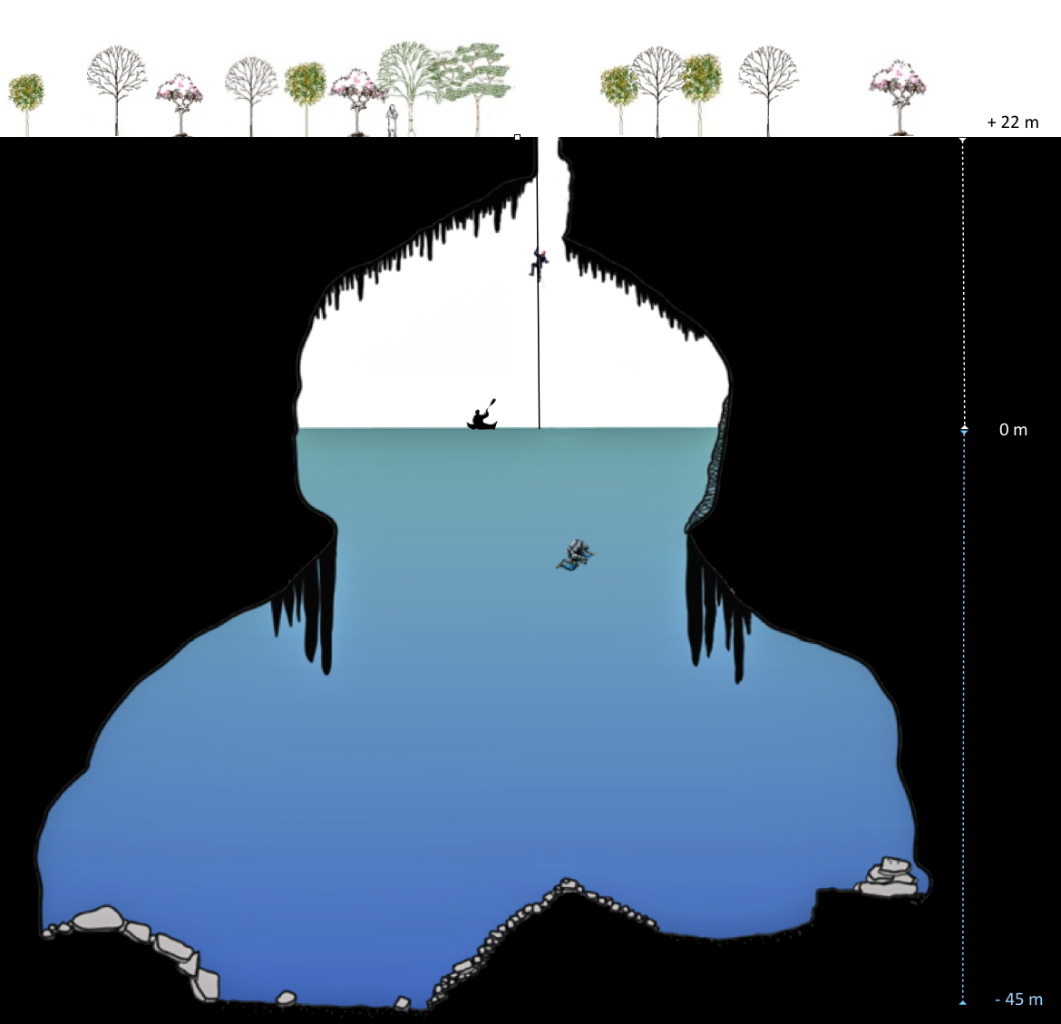 Aspecto del cenote de Holtúm, cortesía de Guillermo de Anda. 