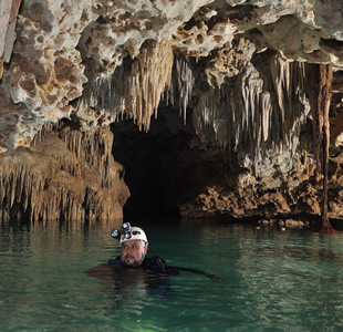 La patria subterránea