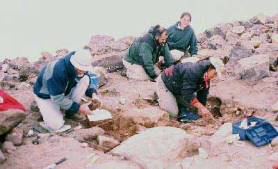 Retícula de excavación