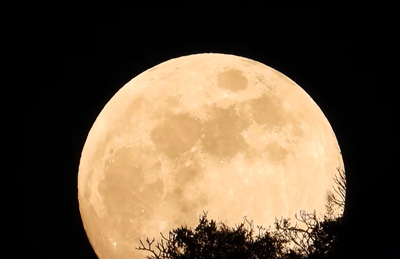 Arqueólogos en apuros Eclipses Famosos